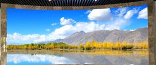 “海外客戶最關心的LED屏參數:不是分辨率，而是這個..